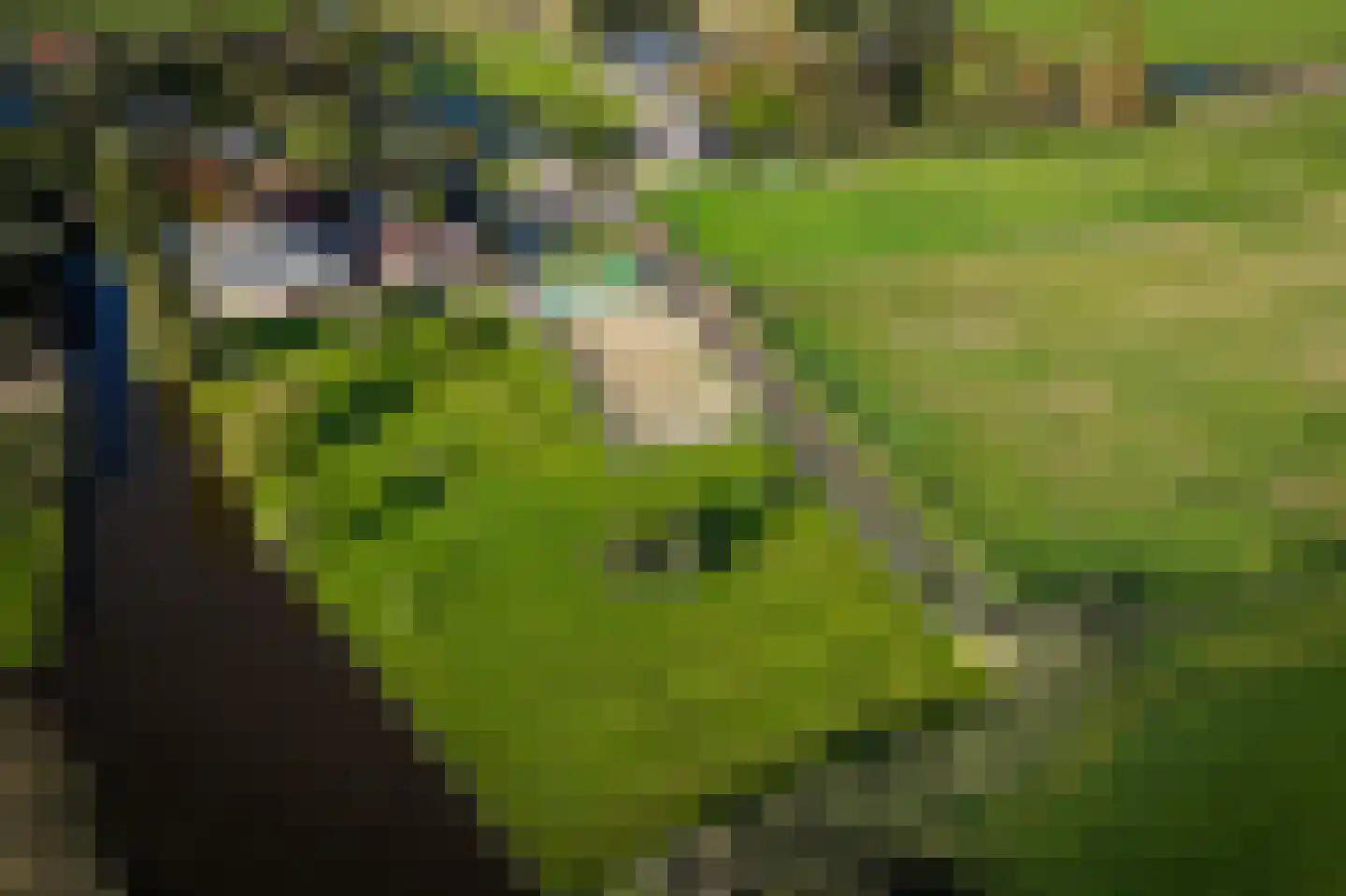 Zaandammerweg 36 A Assendelft thumbnail 55
