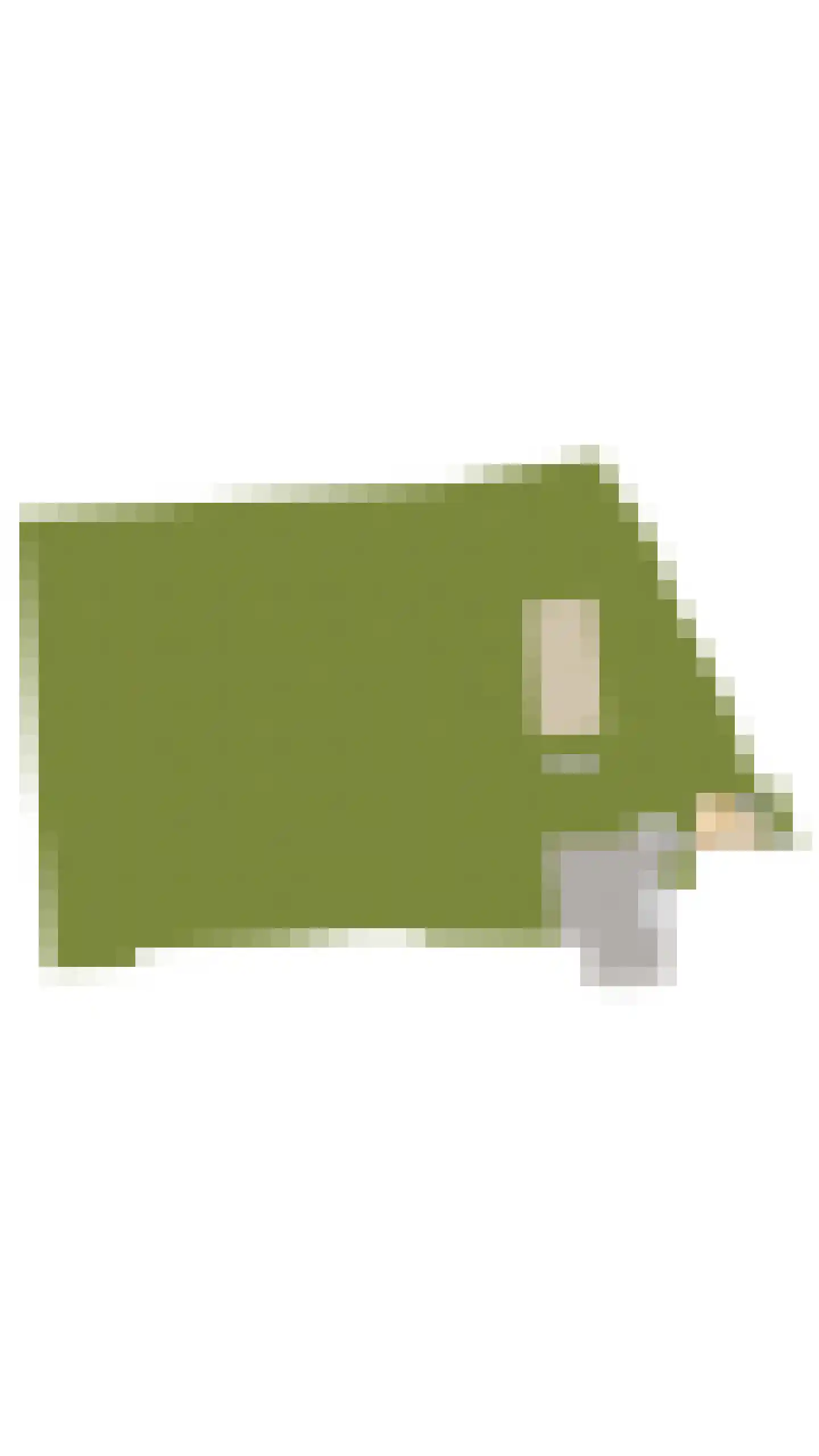 Zaandammerweg 36 A Assendelft thumbnail 63