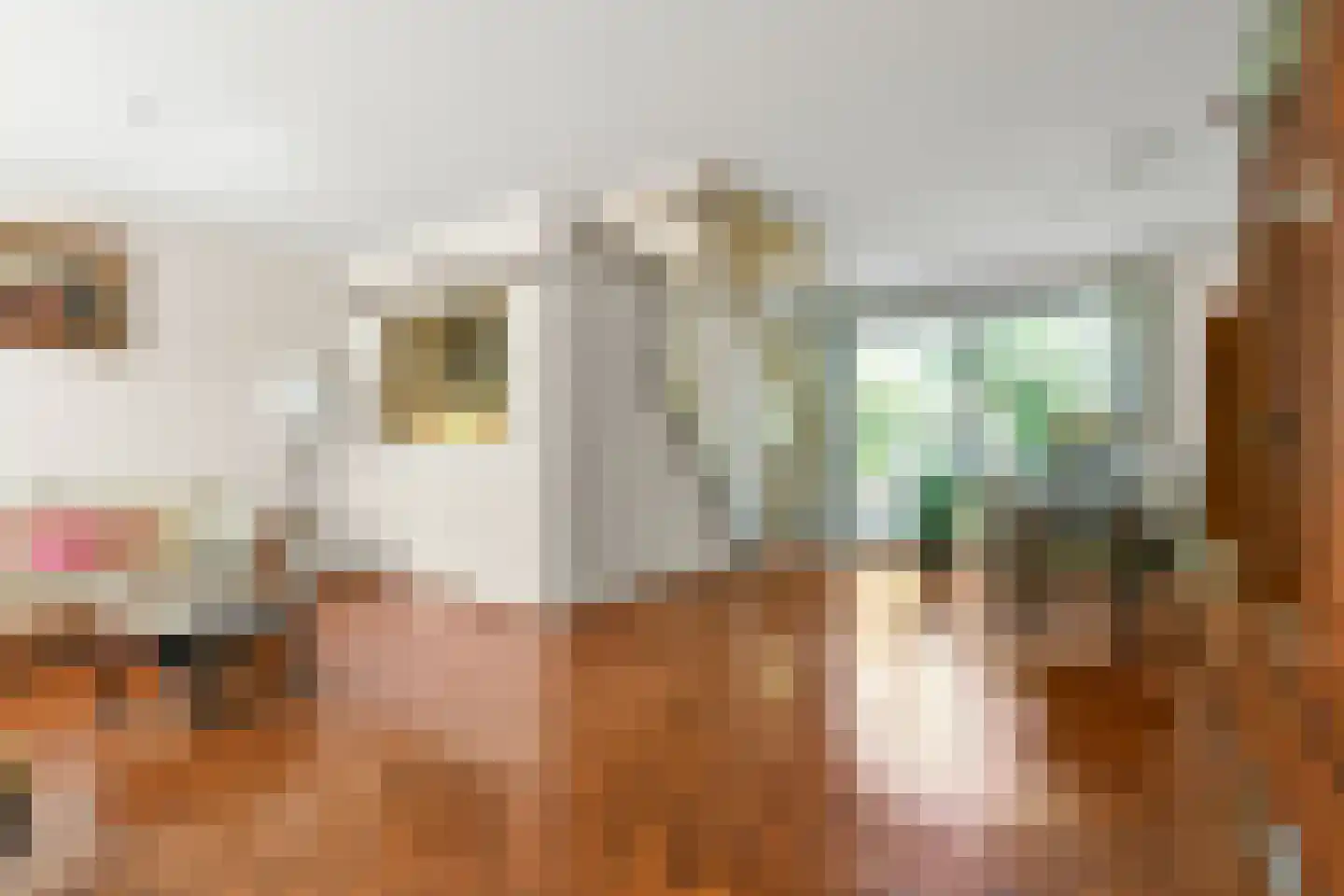 Zaanden 19 Nieuw-Vennep thumbnail 12