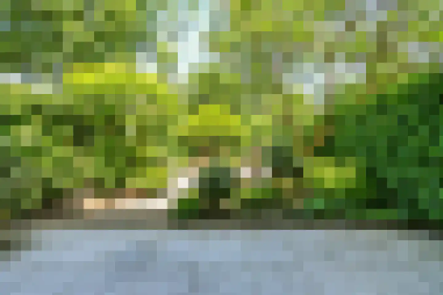Zaanden 19 Nieuw-Vennep thumbnail 19