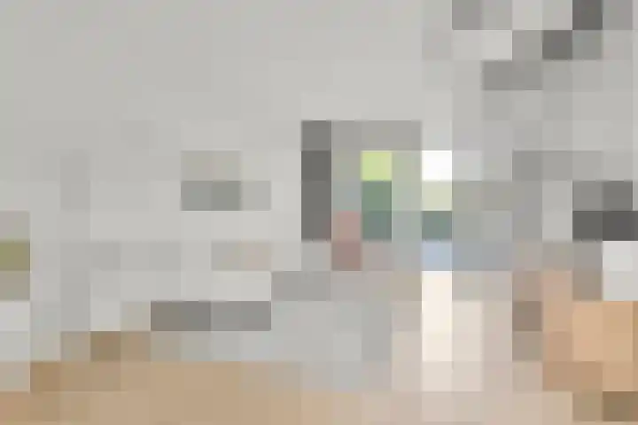 Zaanden 9 Nieuw-Vennep thumbnail 13