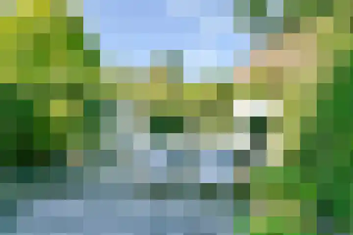 Zaanden 9 Nieuw-Vennep thumbnail 21