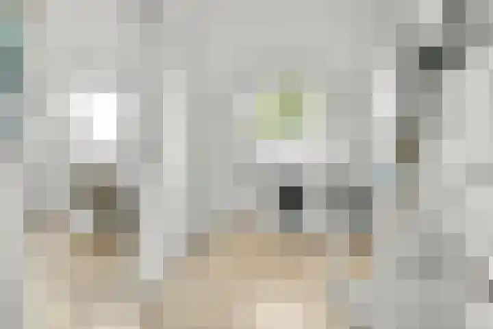 Zaanden 9 Nieuw-Vennep thumbnail 32