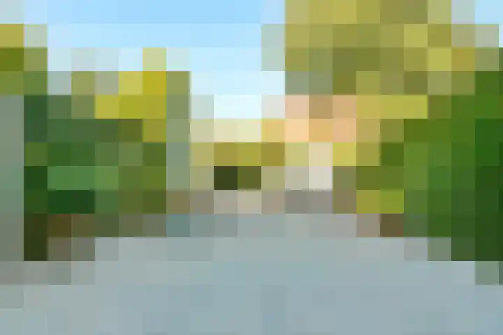 Zaanden 9 Nieuw-Vennep thumbnail 4
