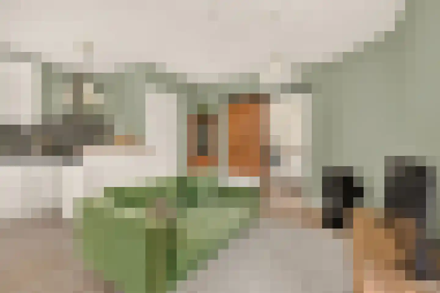 Zaandijkstraat 10 1 Amsterdam thumbnail 10