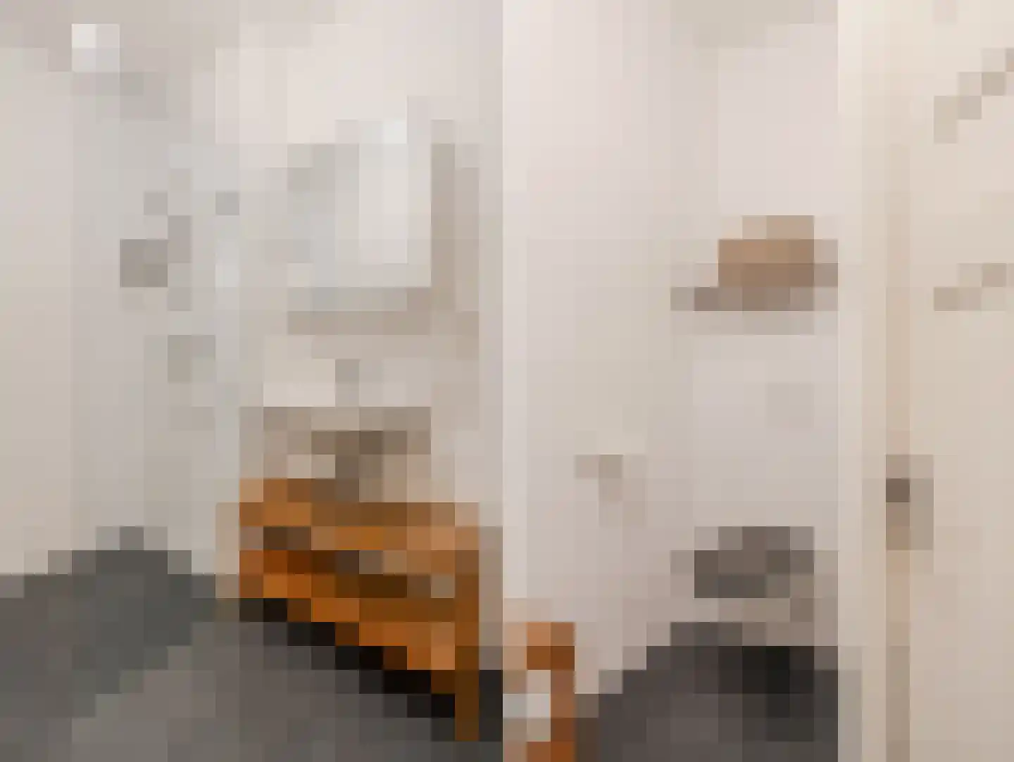 Zaandijkstraat 10 B Amsterdam thumbnail 33