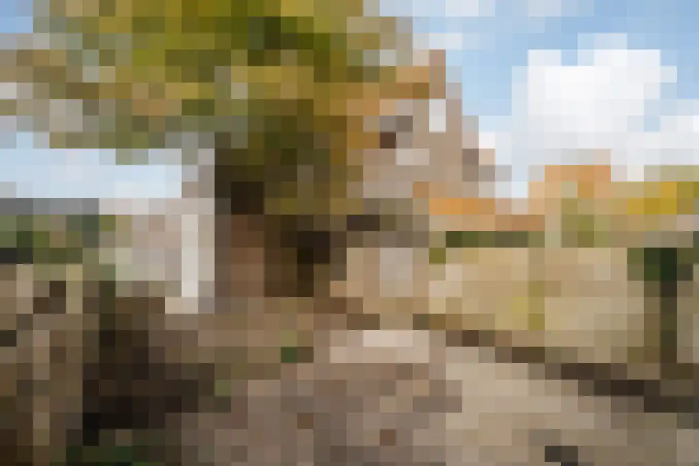Zaanenlaan 141 Haarlem thumbnail 12