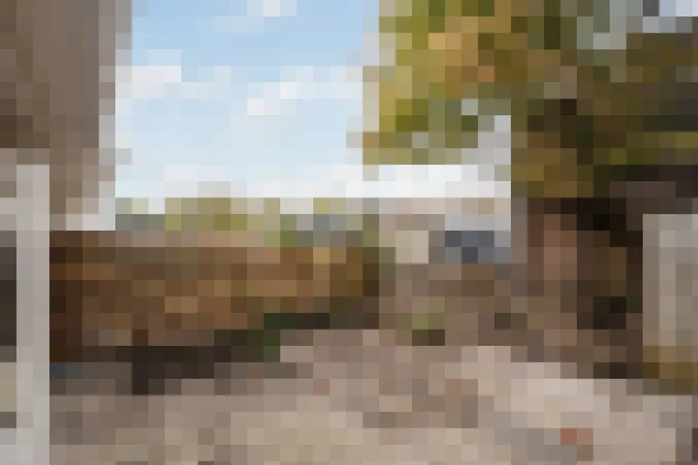Zaanenlaan 141 Haarlem thumbnail 13