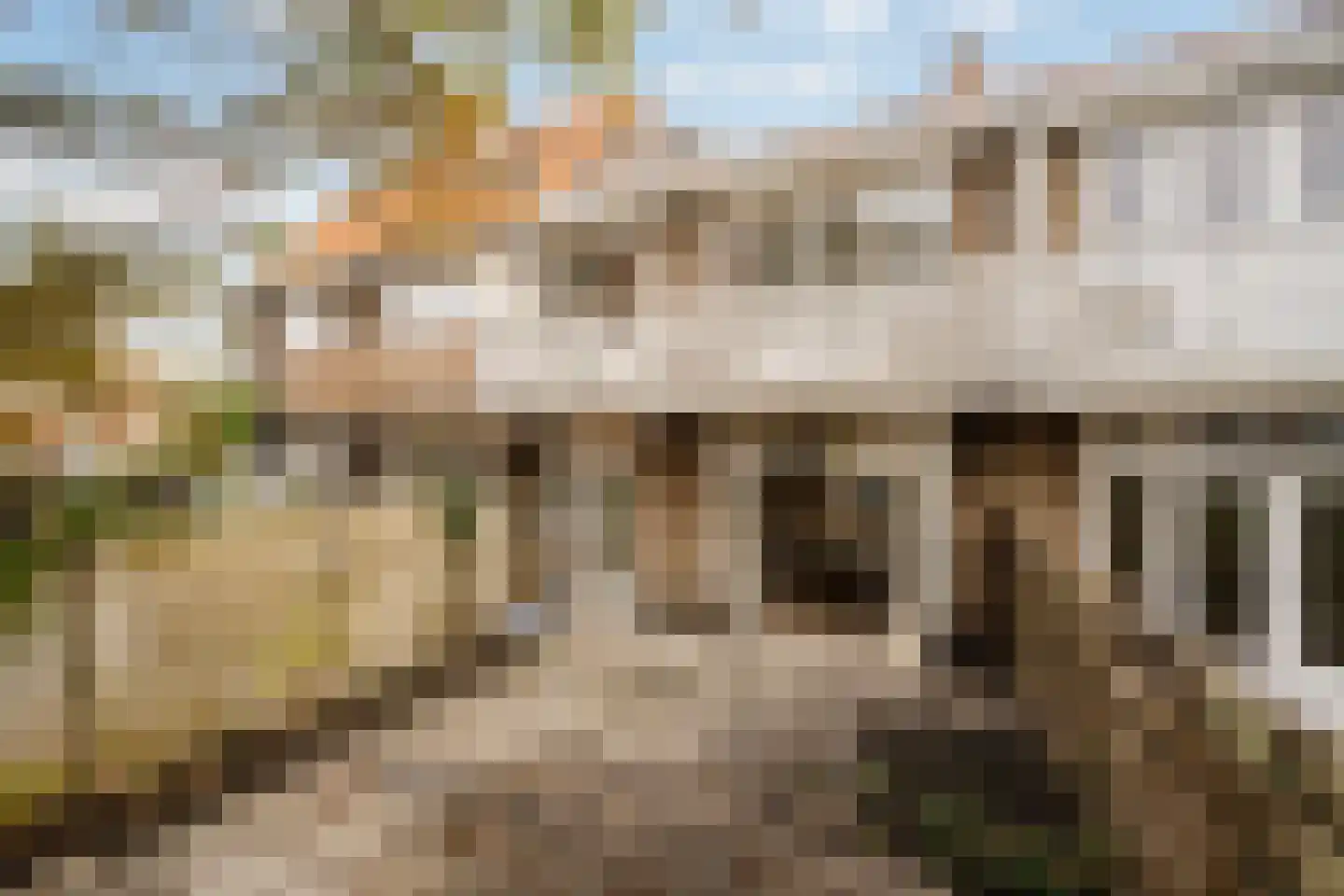 Zaanenlaan 141 Haarlem thumbnail 14
