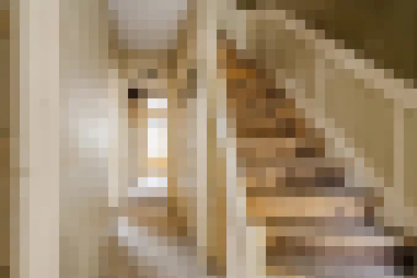 Zaanenlaan 141 Haarlem thumbnail 15