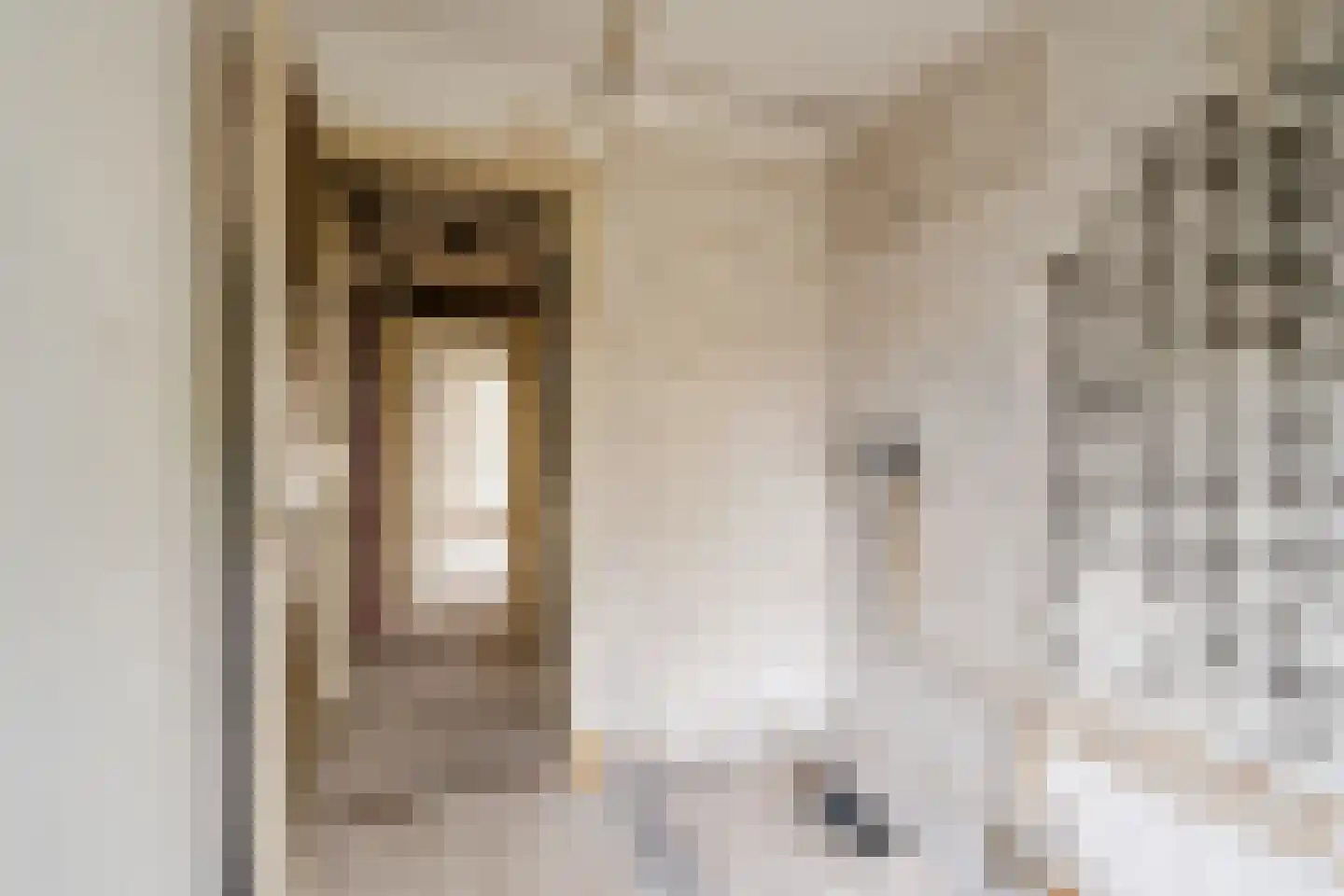 Zaanenlaan 141 Haarlem thumbnail 17