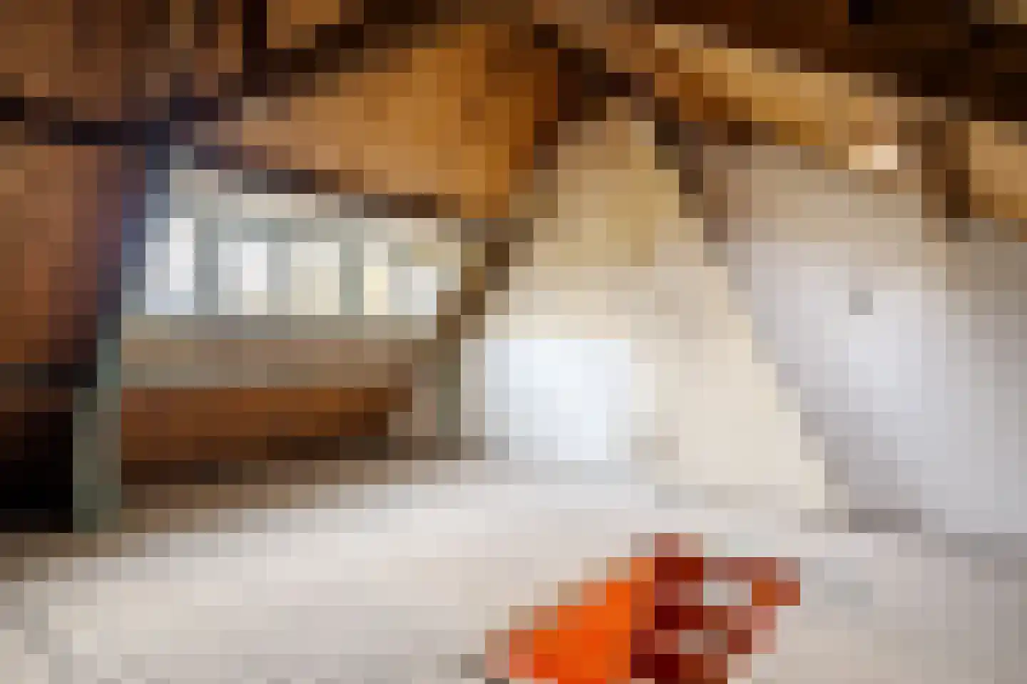 Zaanenlaan 141 Haarlem thumbnail 29