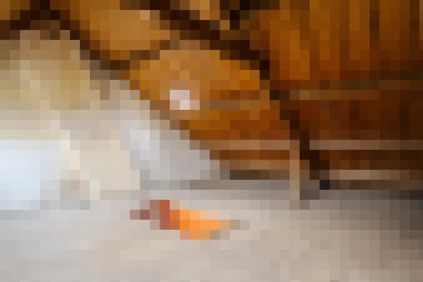Zaanenlaan 141 Haarlem thumbnail 30