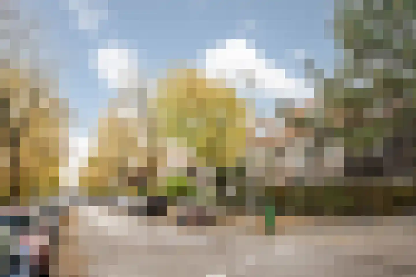 Zaanenlaan 141 Haarlem thumbnail 32