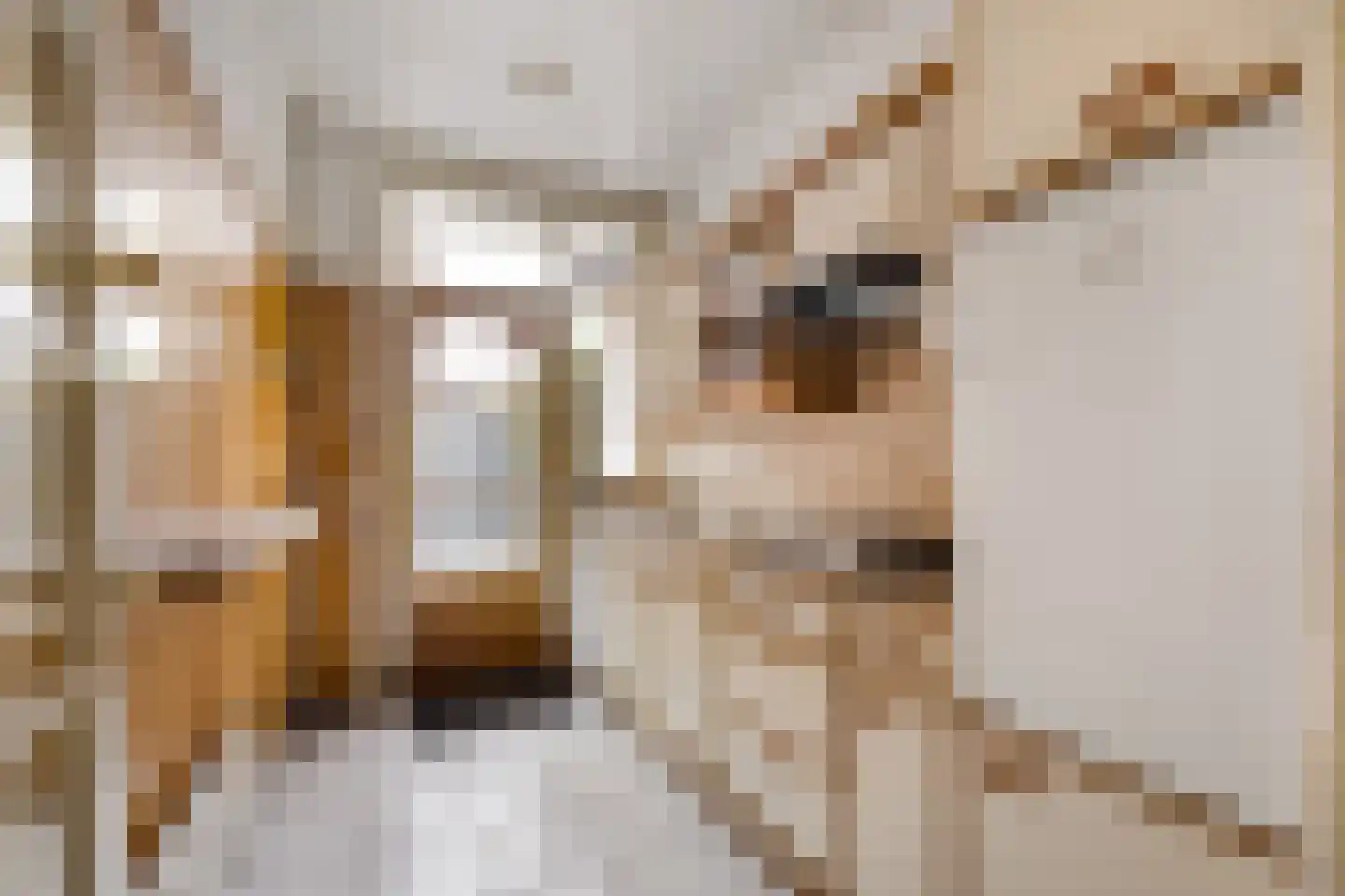 Zaanenlaan 25 Haarlem thumbnail 11