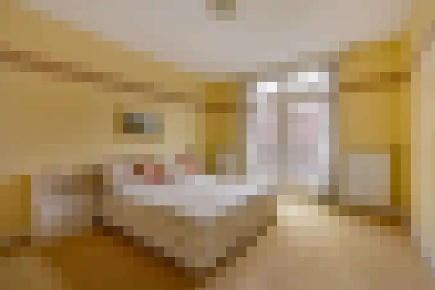 Zaanenlaan 25 Haarlem thumbnail 16