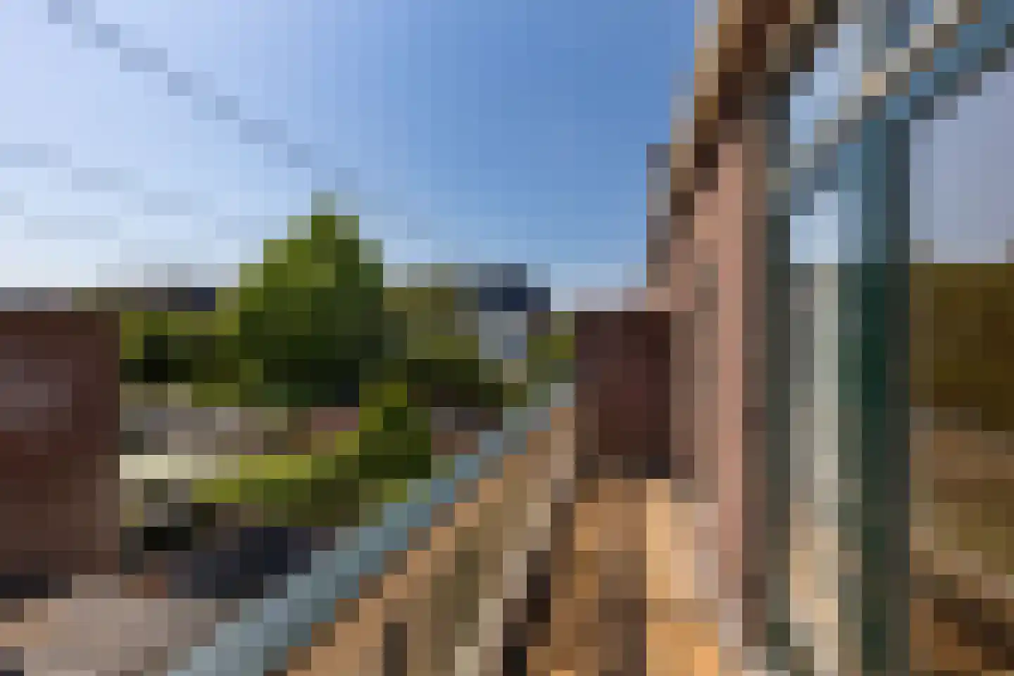 Zaanenlaan 25 Haarlem thumbnail 16