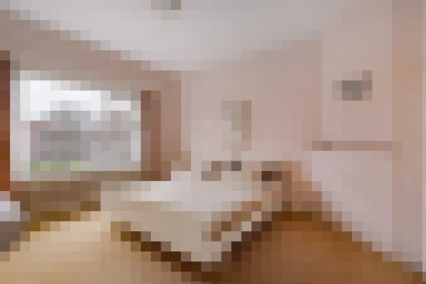 Zaanenlaan 25 Haarlem thumbnail 17