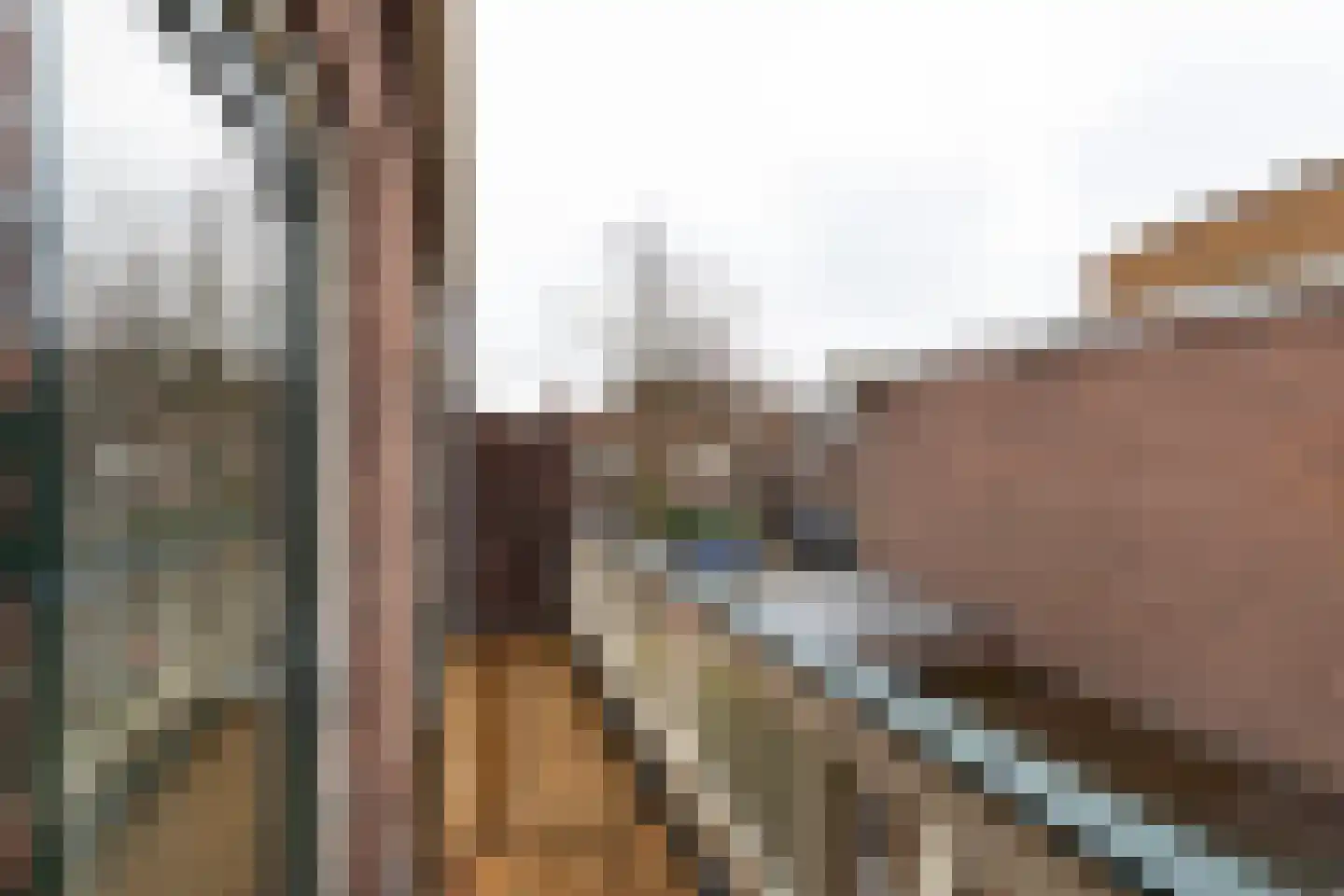 Zaanenlaan 25 Haarlem thumbnail 18