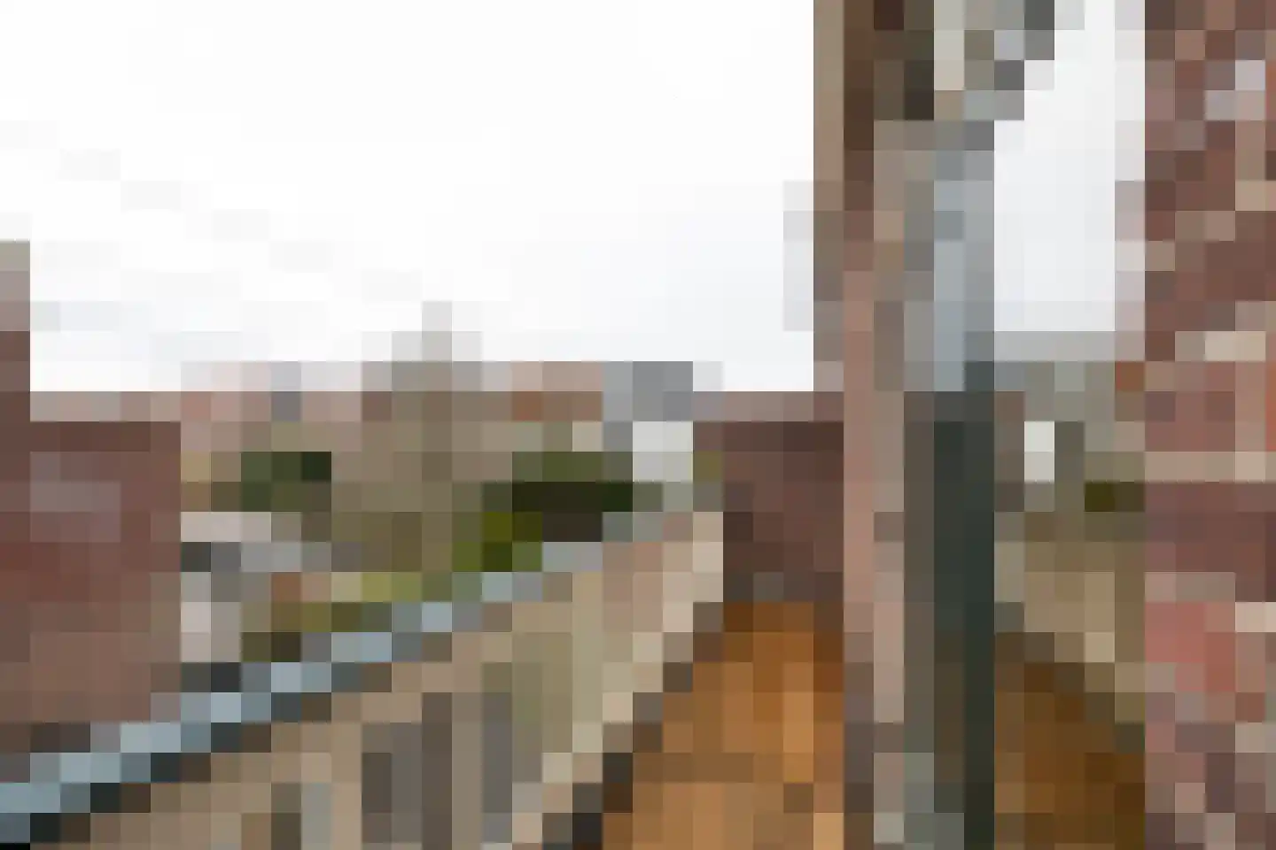 Zaanenlaan 25 Haarlem thumbnail 19