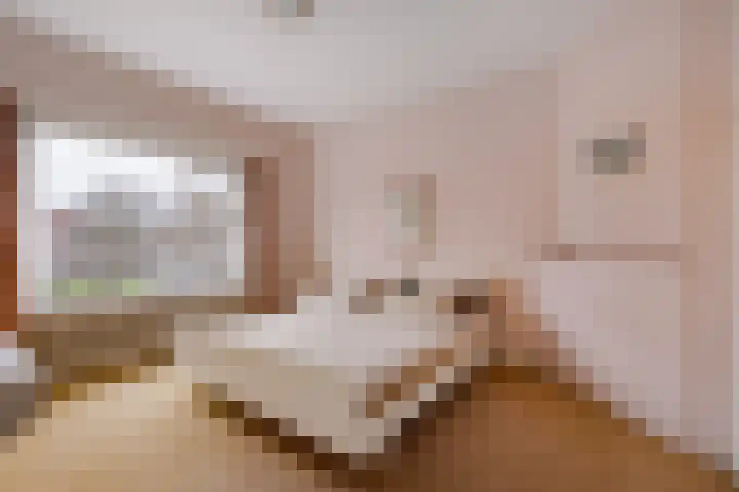 Zaanenlaan 25 Haarlem thumbnail 20