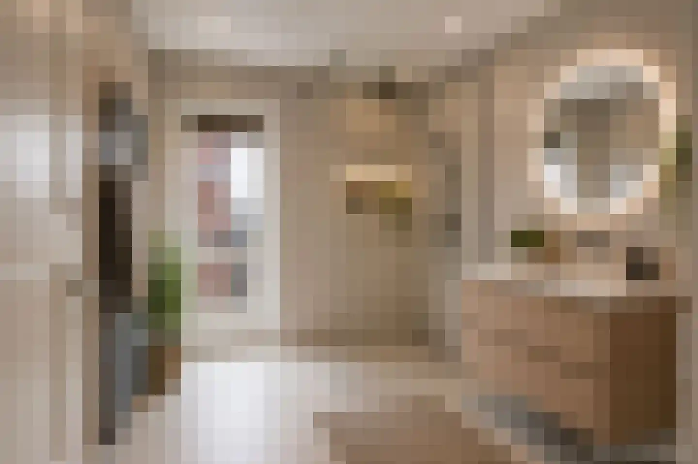 Zaanenlaan 25 Haarlem thumbnail 21