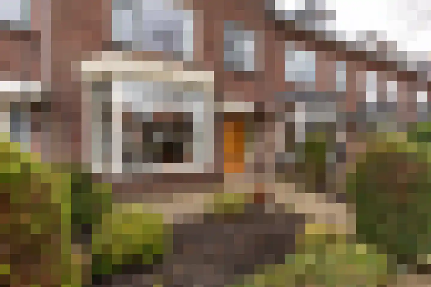 Zaanenlaan 25 Haarlem thumbnail 31
