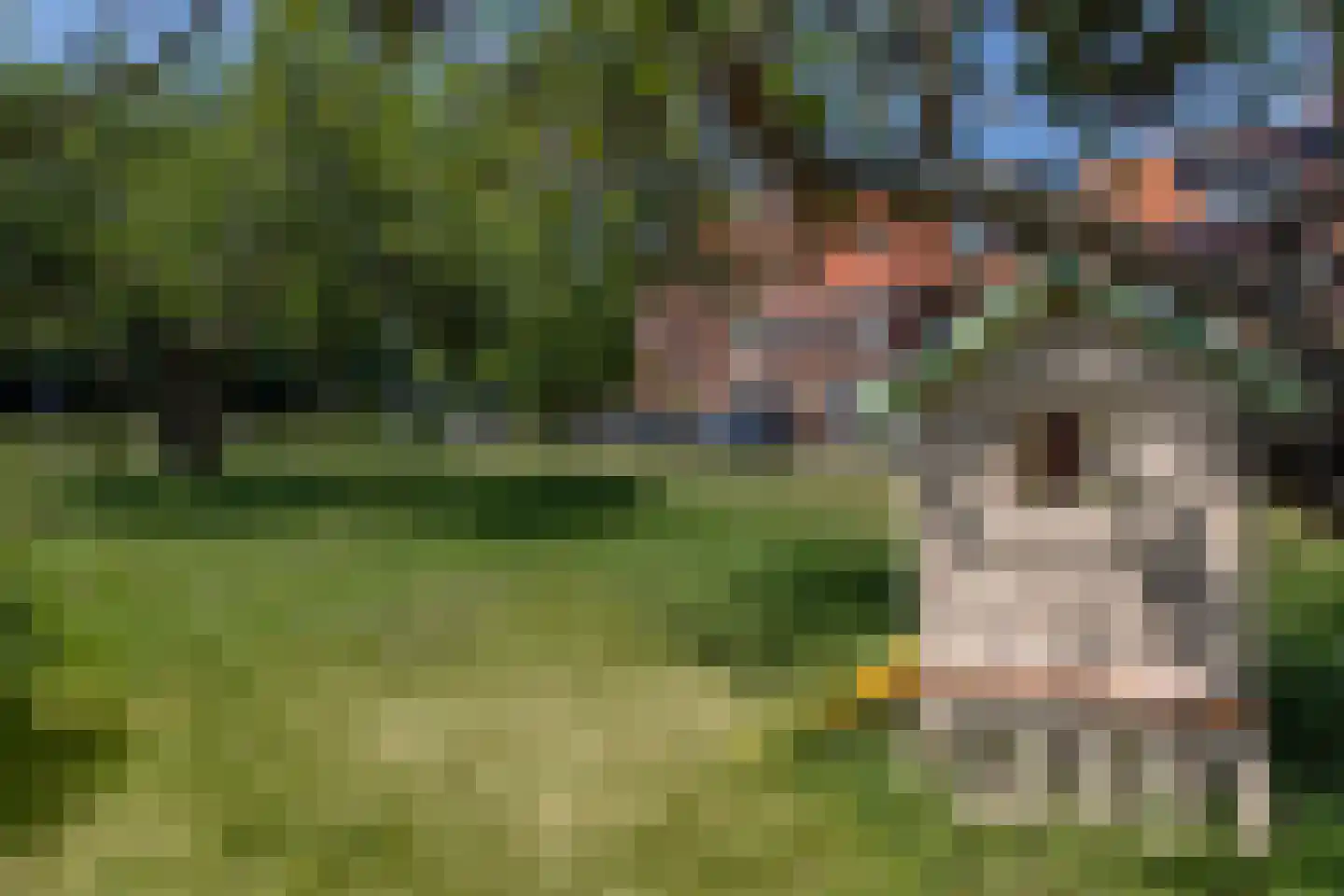 Zaanenlaan 25 Haarlem thumbnail 32