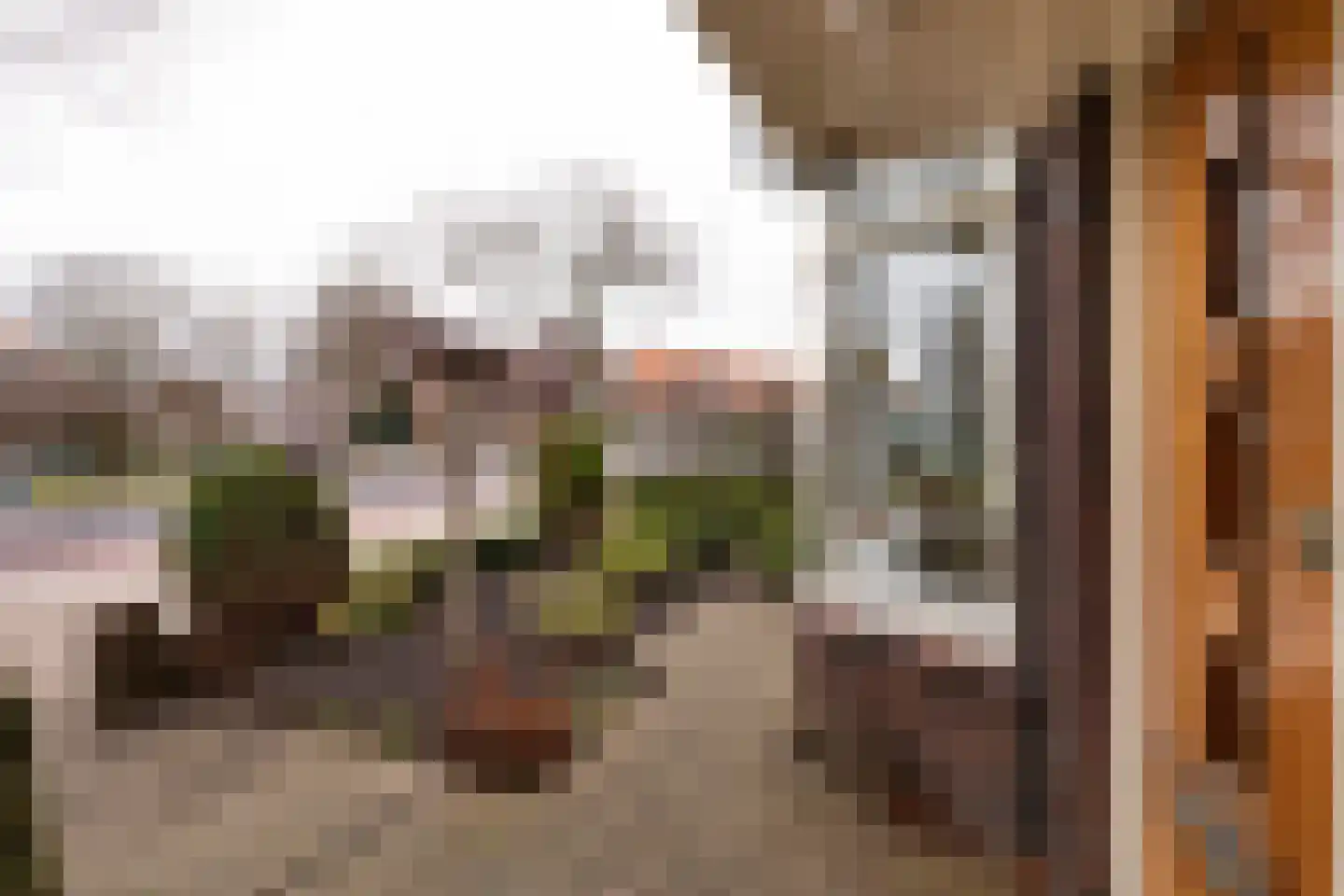 Zaanenlaan 25 Haarlem thumbnail 32