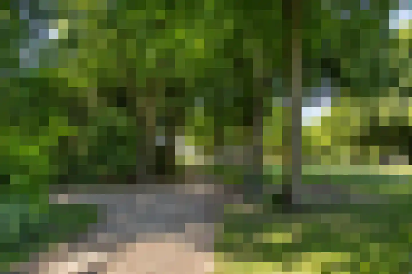 Zaanenlaan 25 Haarlem thumbnail 33