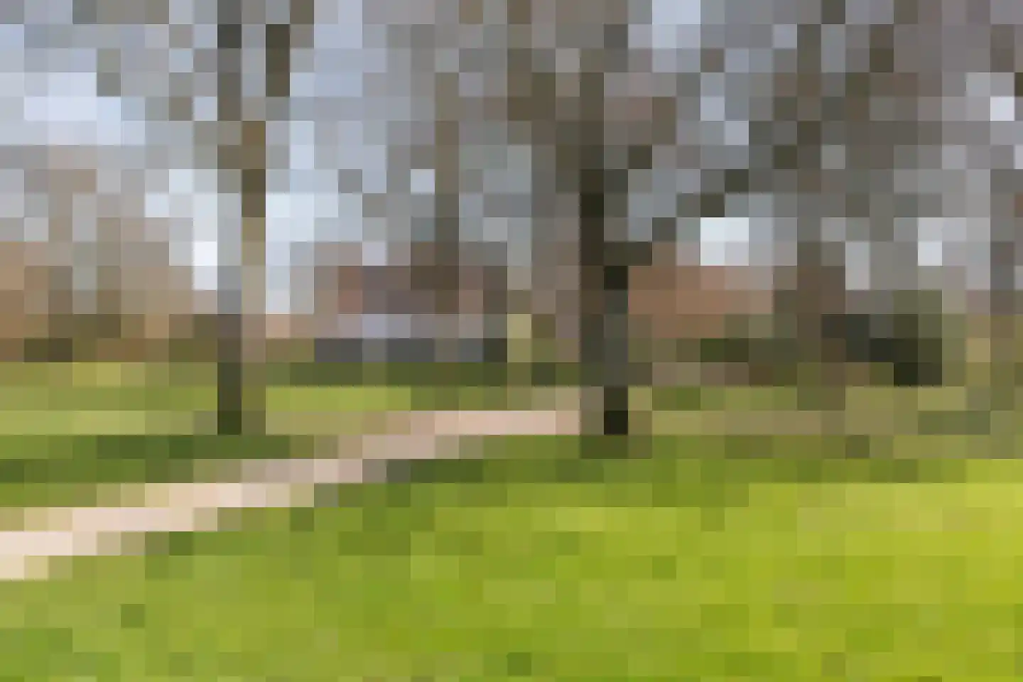 Zaanenlaan 25 Haarlem thumbnail 37