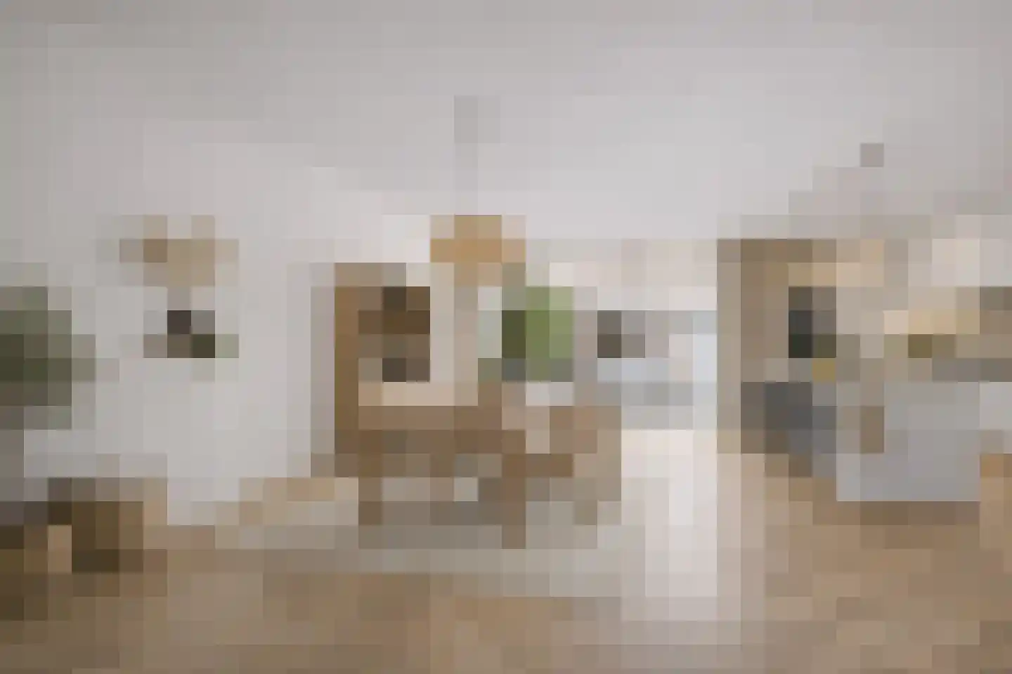 Zaanenlaan 25 Haarlem thumbnail 4