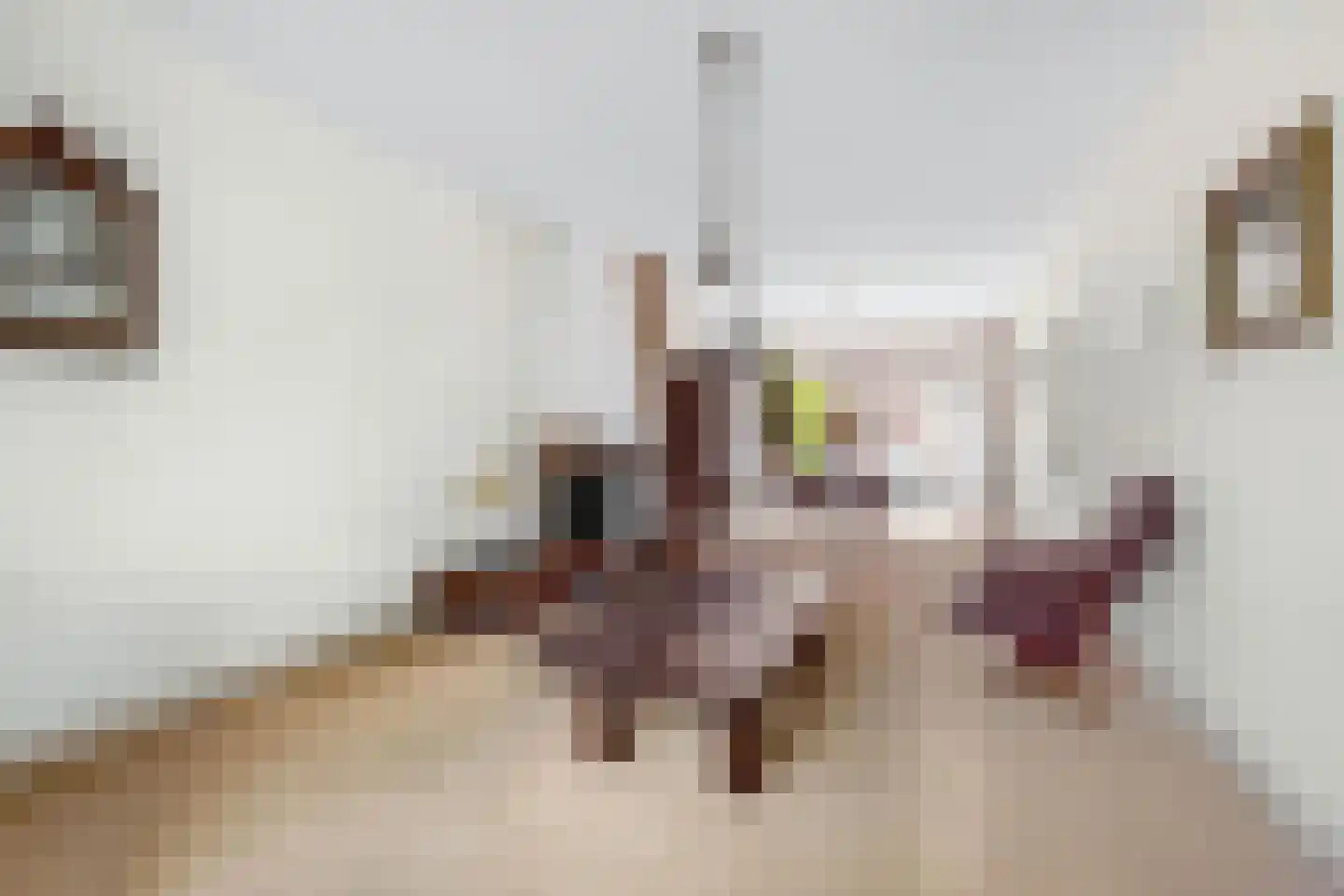 Zaanenlaan 25 Haarlem thumbnail 4