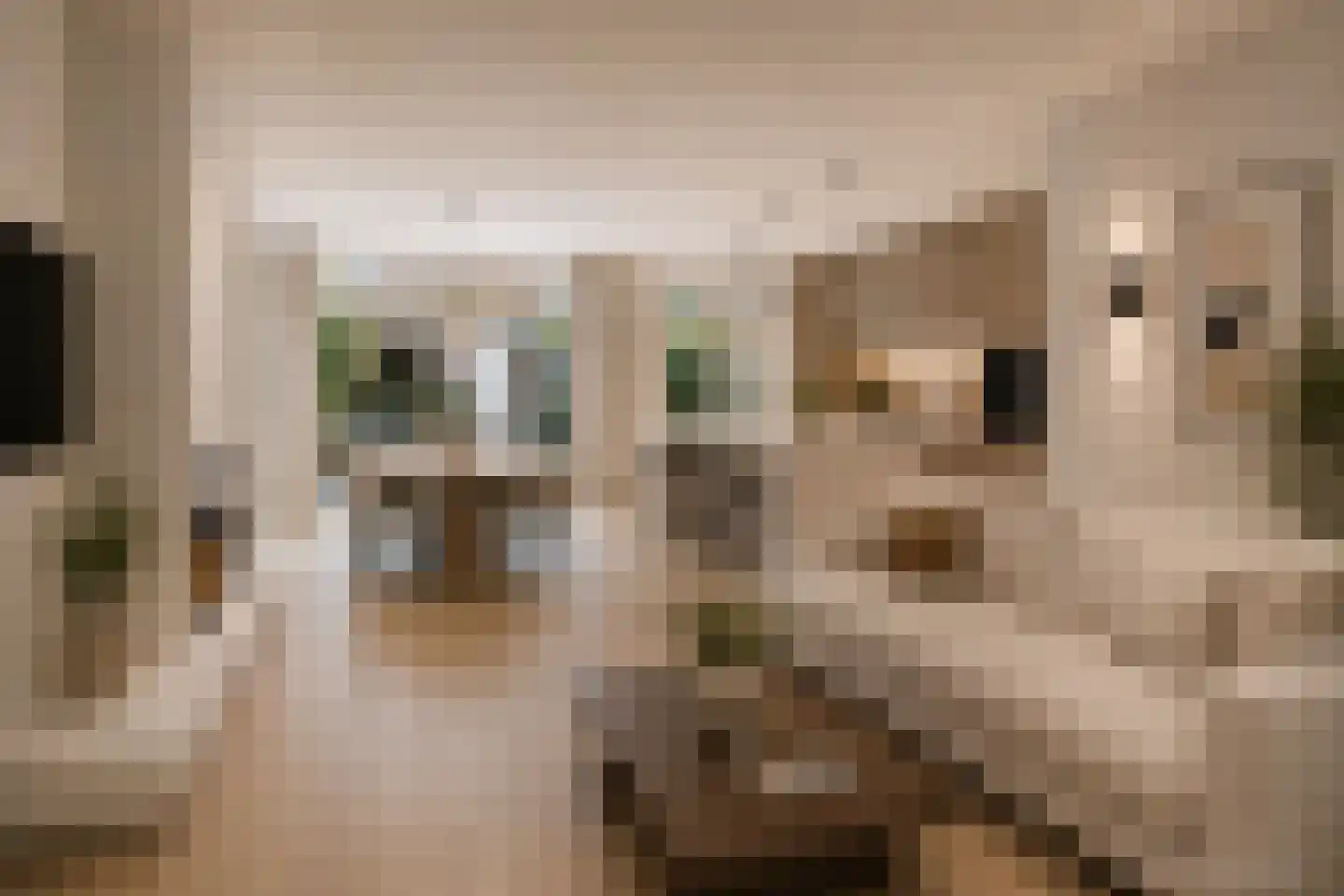 Zaanenlaan 25 Haarlem thumbnail 5