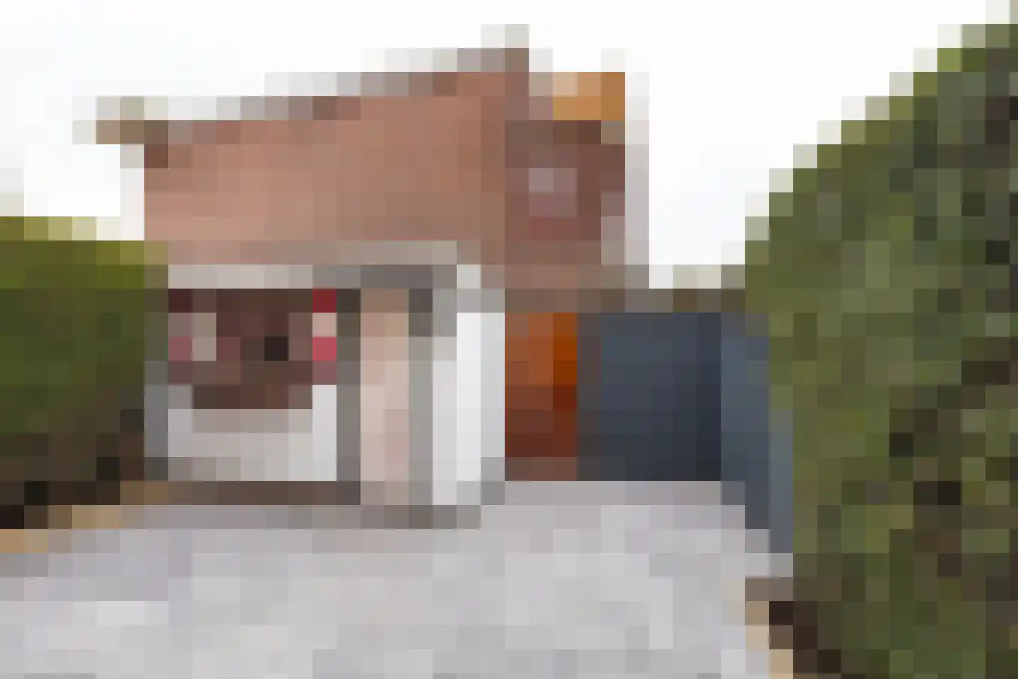 Zaanenlaan 25 Haarlem thumbnail 9