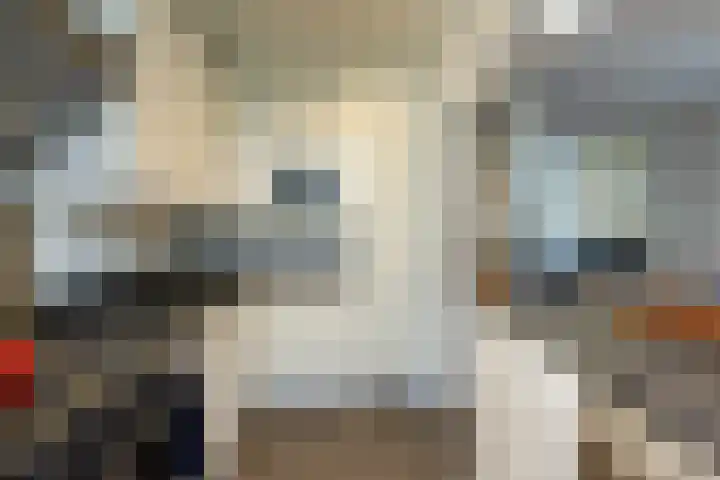 Zaanenlaan 39 Haarlem thumbnail 17