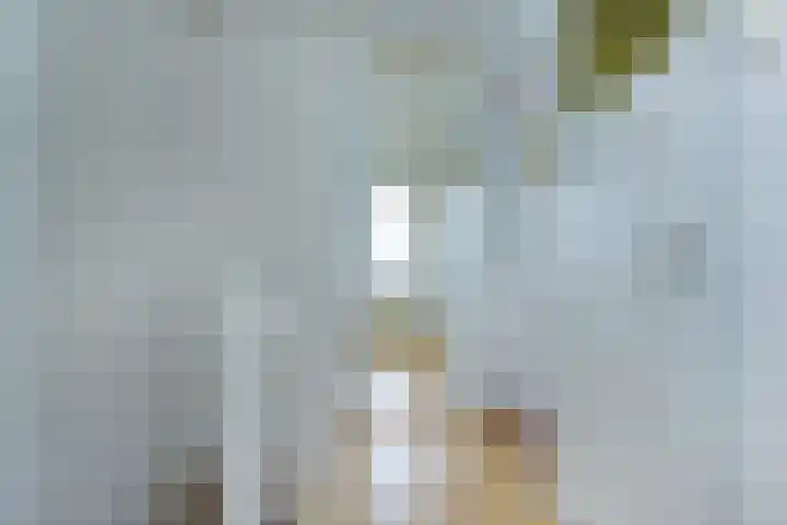 Zaanenlaan 39 Haarlem thumbnail 21
