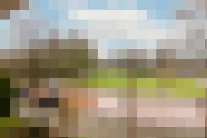 Zaanenlaan 39 Haarlem thumbnail 24