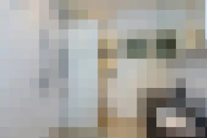 Zaanenlaan 39 Haarlem thumbnail 28