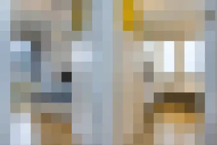 Zaanenlaan 39 Haarlem thumbnail 29