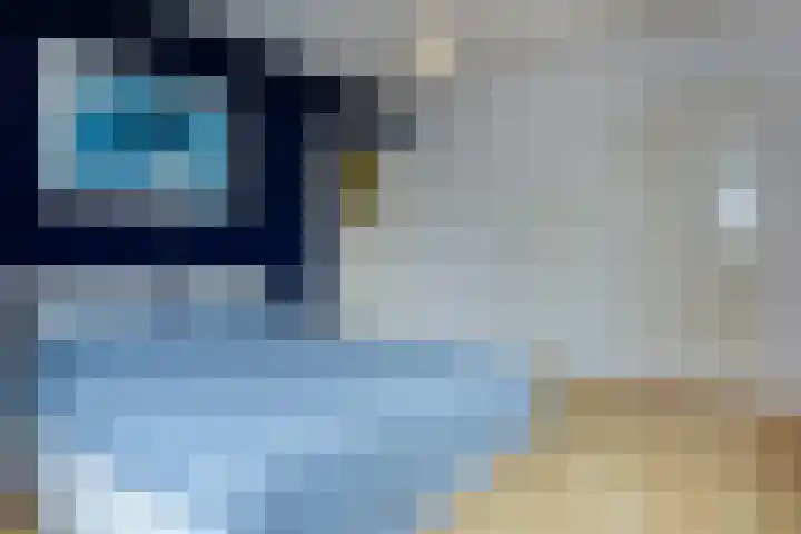 Zaanenlaan 39 Haarlem thumbnail 32