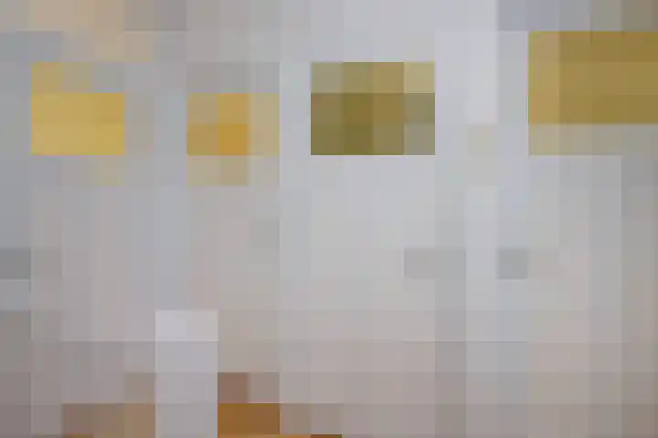 Zaanenlaan 39 Haarlem thumbnail 34