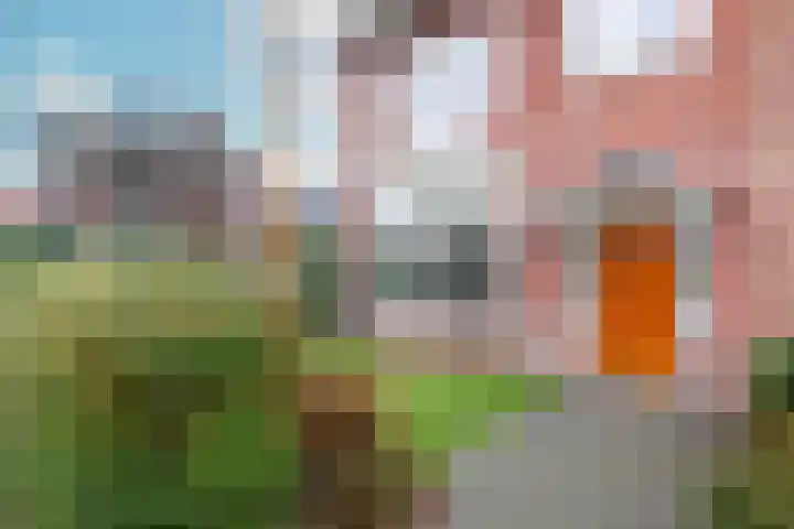Zaanenlaan 39 Haarlem thumbnail 41