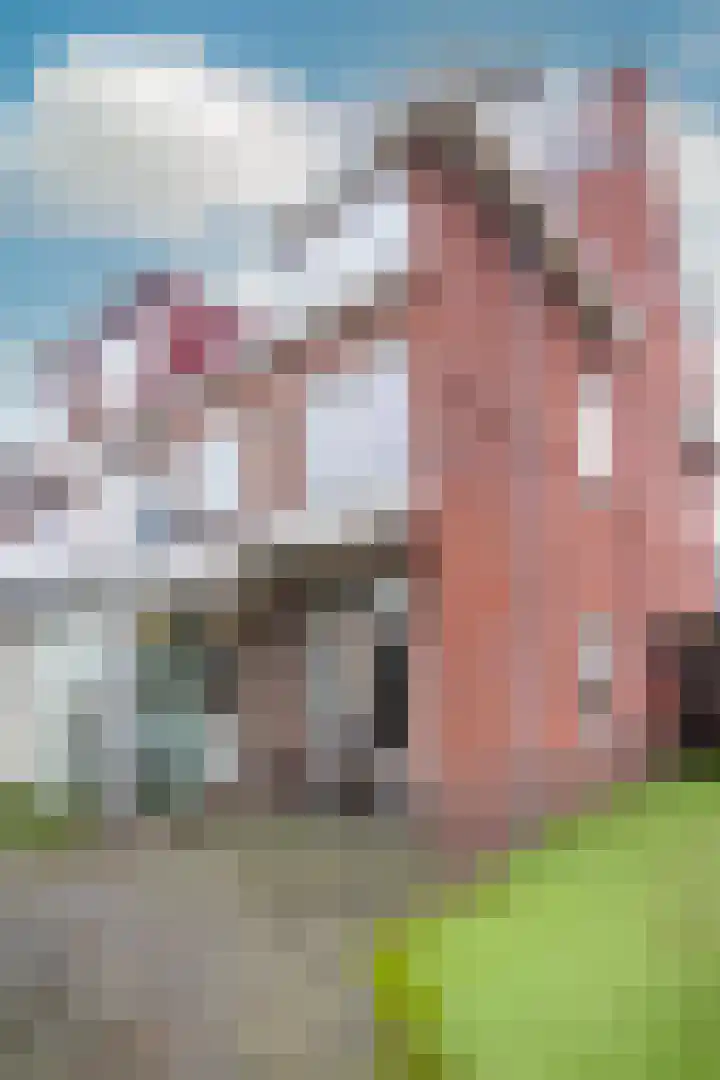 Zaanenlaan 39 Haarlem thumbnail 43