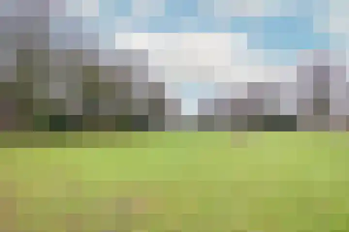 Zaanenlaan 39 Haarlem thumbnail 46