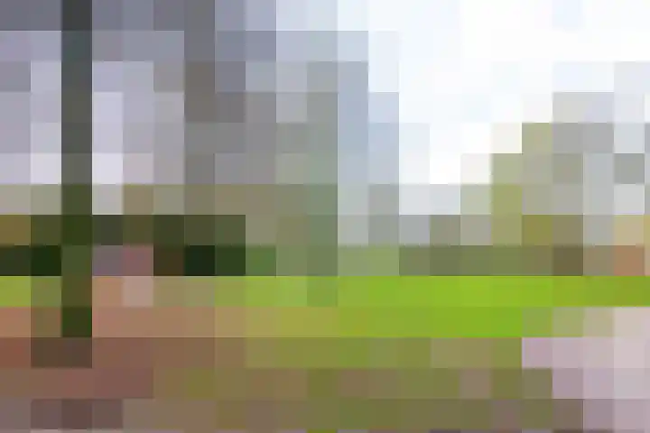 Zaanenlaan 39 Haarlem thumbnail 47