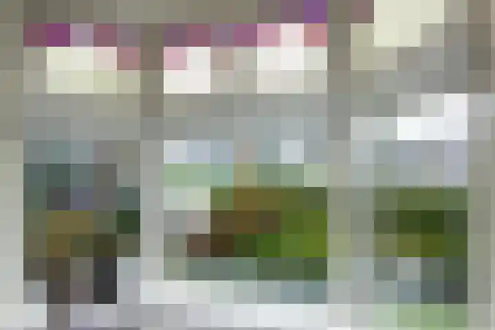 Zaanenlaan 39 Haarlem thumbnail 8