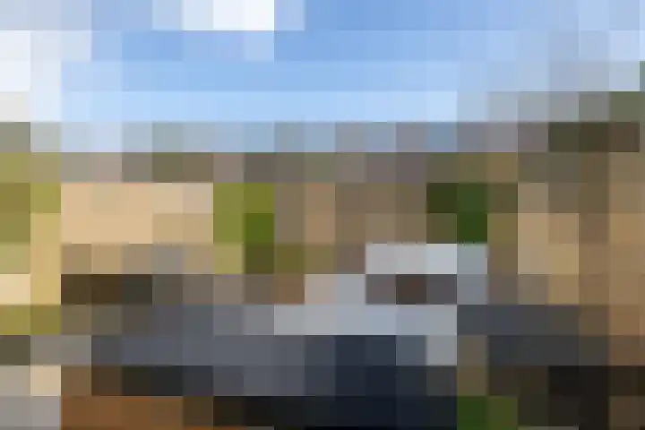 Zaanenlaan 60 Haarlem thumbnail 10