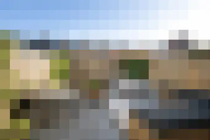 Zaanenlaan 60 Haarlem thumbnail 11