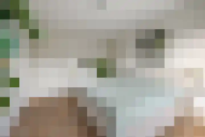 Zaanenlaan 60 Haarlem thumbnail 21